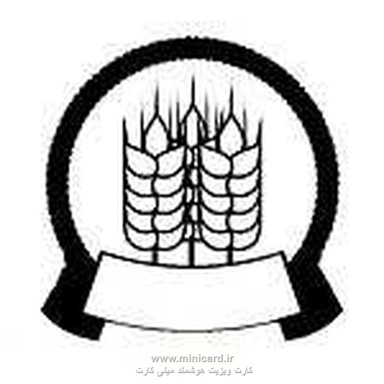 کارت ویزیت هوشمند مینی کارت